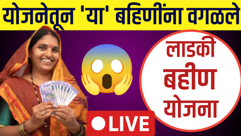 माझी लाडकी बहीण योजनाची यादी तपासत असलेली महिला, मोबाईलवर वेबसाईट ओपन केलेली आहे - ladki bahin yojana final list check