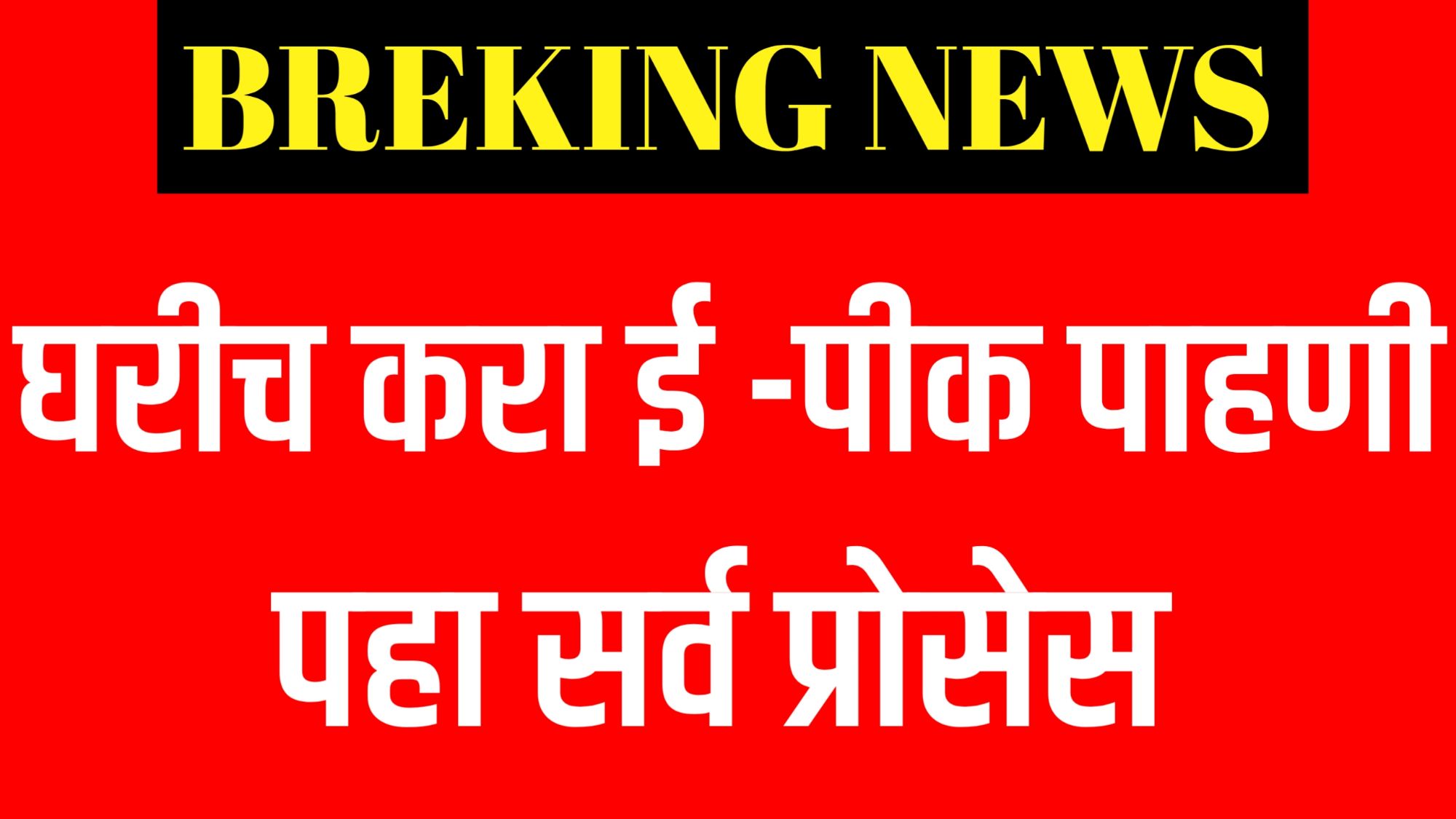 शेतकरी ई-पीक पाहणी अ‍ॅपवर खरीप पिकांची नोंद करताना – डिजिटल कृषी नोंदणी प्रक्रिया महाराष्ट्रात सुरू