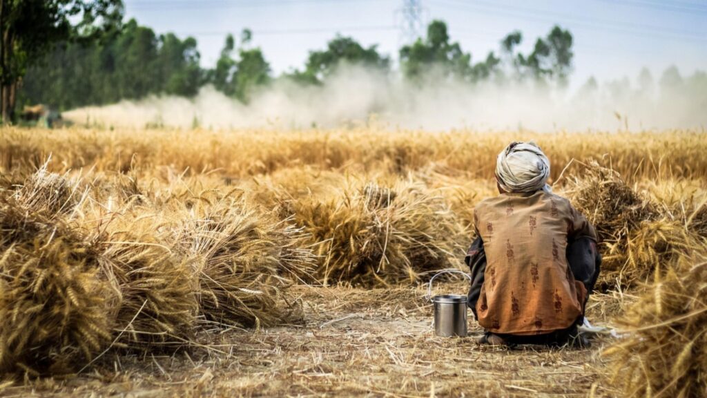 Farmer Loan 