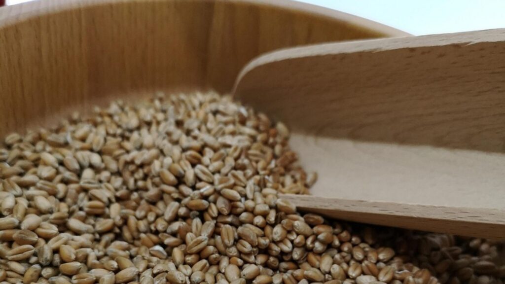 Free Flour Mill Scheme Maharashtra