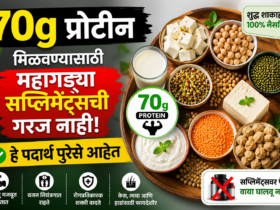 70g Protein Vegetarian Diet Plan दररोज 70g प्रोटीन हवे शुद्ध शाकाहारींसाठी हा डाएट प्लॅन ठरेल गेम चेंजर