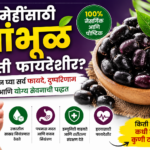 Java Plum Benefits for Diabetes: मधुमेहींसाठी जांभूळ किती फायदेशीर जाणून घ्या फायदे, दुष्परिणाम आणि योग्य सेवनाची पद्धत
