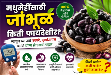 Java Plum Benefits for Diabetes: मधुमेहींसाठी जांभूळ किती फायदेशीर जाणून घ्या फायदे, दुष्परिणाम आणि योग्य सेवनाची पद्धत
