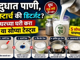 Milk Purity Test: तुम्ही पिणारे दूध खरंच शुद्ध आहे का? घरच्या घरी करा या 5 सोप्या चाचण्या