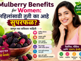 Mulberry Benefits for Women: महिलांसाठी तुती का आहे सुपरफळ? जाणून घ्या सविस्तर माहिती