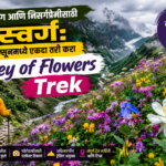 ट्रेकिंग आणि निसर्गप्रेमींसाठी स्वर्ग: मान्सूनमध्ये एकदा तरी करा Valley of Flowers Trek