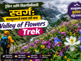 ट्रेकिंग आणि निसर्गप्रेमींसाठी स्वर्ग: मान्सूनमध्ये एकदा तरी करा Valley of Flowers Trek