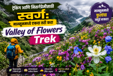 ट्रेकिंग आणि निसर्गप्रेमींसाठी स्वर्ग: मान्सूनमध्ये एकदा तरी करा Valley of Flowers Trek